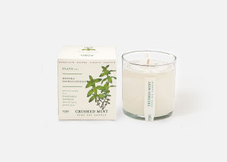 Add On Item: Crushed Mint Grow Candle